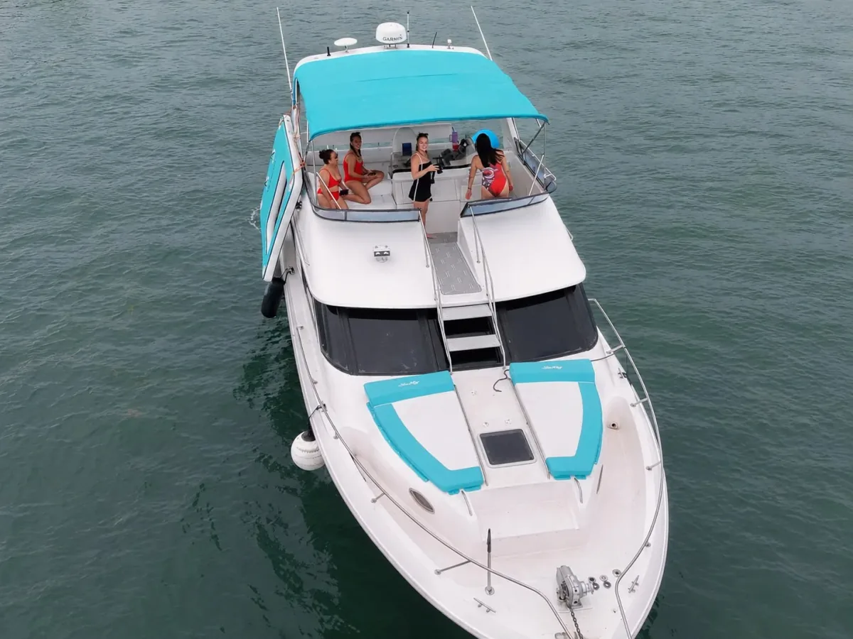 Miami Yacht Fleet